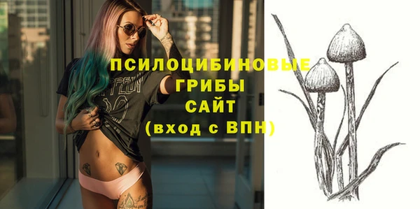 apvp Белоозёрский