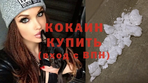 ГАЛЛЮЦИНОГЕННЫЕ ГРИБЫ Дмитриев