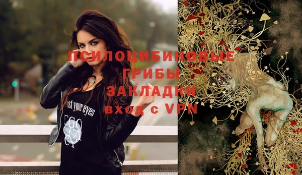 мет Белокуриха