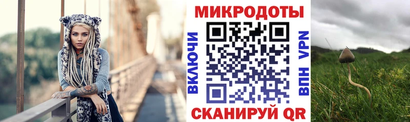 Псилоцибиновые грибы мицелий  дарнет шоп  мега зеркало  Вятские Поляны 