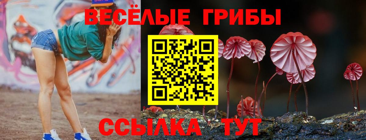 Псилоцибиновые грибы прущие грибы  цена наркотик  Вятские Поляны  Галлюциногенные грибы MAGIC MUSHROOMS  Вход с VPN 
