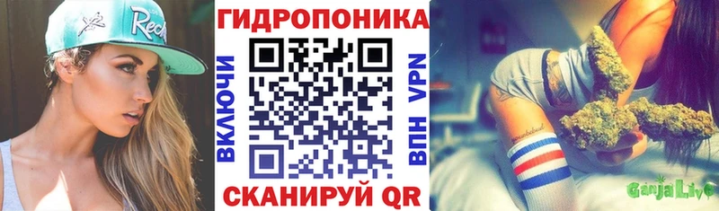 Бошки марихуана THC 21%  Вятские Поляны 